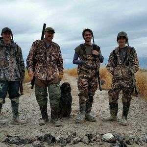 Meet your Posher, Preston